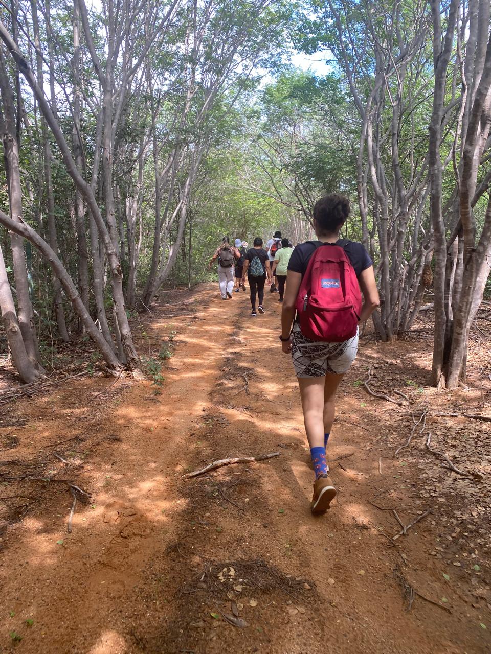 Grupo de visitantes caminhando na trilha da Mata do Zumbi